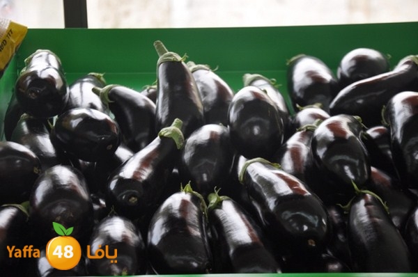 souq yaffa 0123 (33).JPG